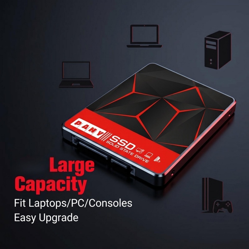 SSD Interno Onevan da 2,5 Poll - Gaming Console Under 500 recensione e prezzo